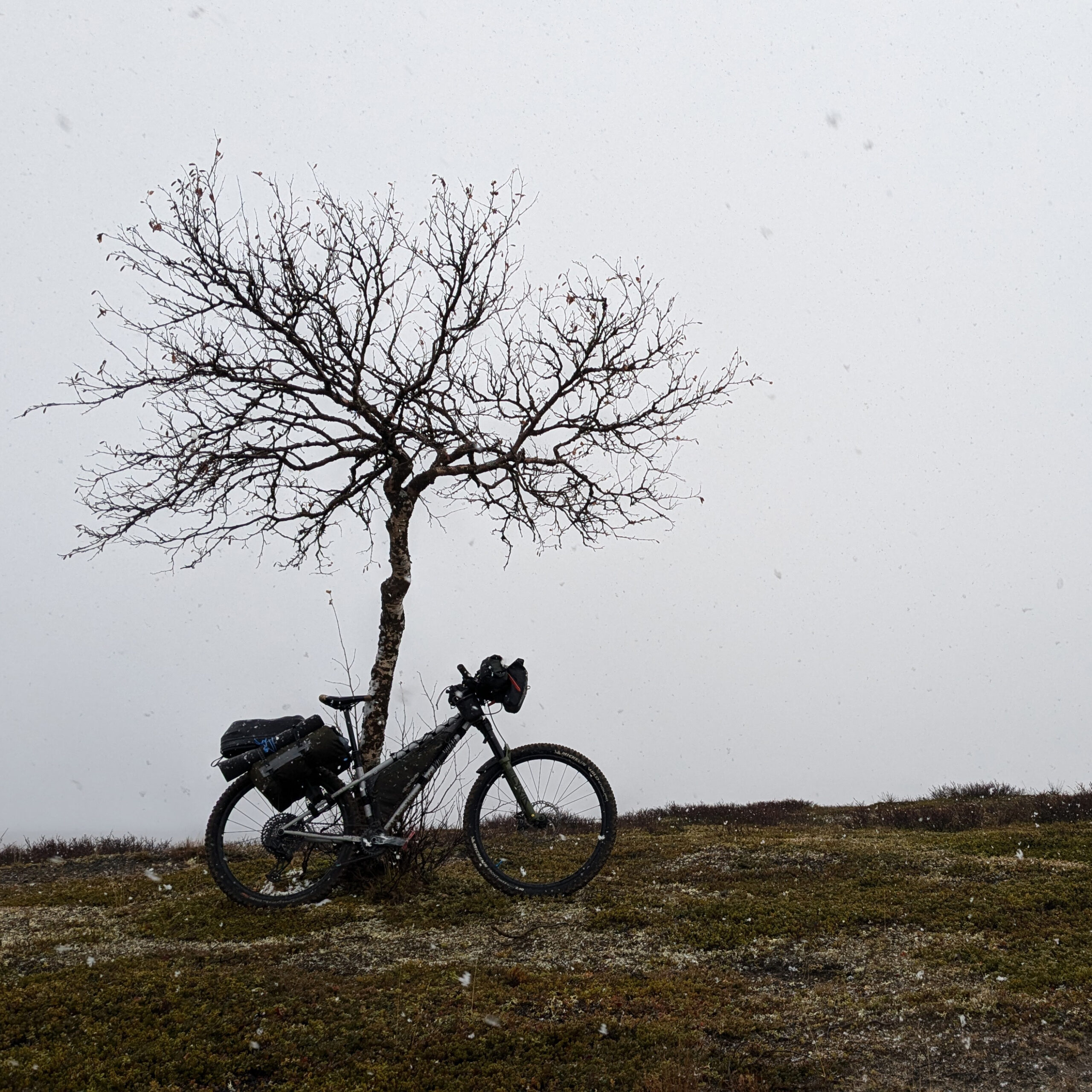 MTB i fjällen